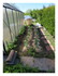 Dans mon jardin !