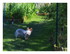 Dans mon jardin !