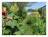 Dans mon jardin...