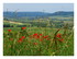 Paysages Vosges.