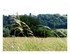 Paysages Vosges.