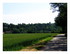 Paysages Vosges.