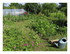 Le jardin !