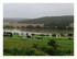 L'inondation !