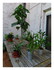 Un petit tour dans le jardin !
