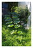 Un petit tour dans le jardin !