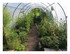 Un petit tour dans le jardin !