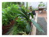 Un petit tour dans le jardin !
