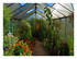 Un petit tour dans le jardin !