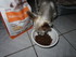 Test croquettes chien.