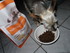 Test croquettes chien.