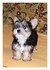 Photos souvenir de Miss Gaufre
