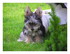 Photos souvenir de Miss Gaufre