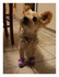 Photos souvenir de Miss Gaufre