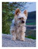 Photos souvenir de Miss Gaufre