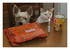 Photos souvenir de Miss Gaufre