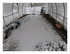 La neige !