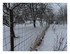 La neige !
