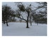 La neige !