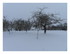 La neige !