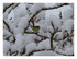 La neige !