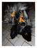 Le chien de ma belle soeur.