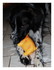 Le chien de ma belle soeur.
