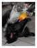 Le chien de ma belle soeur.
