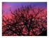 Le ciel hier soir !