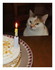 L'anniversaire Lunatic !