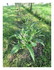 Dans mon jardin!