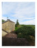Pic épeiche.