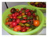 Mes tomates et mes mirabelles 