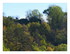 Vue sur Saint Elophe