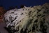 Blanc comme NEIGE !