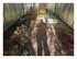 Un petit tour au jardin !
