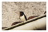 Les oiseaux dans le jardin !