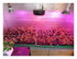 Mes plantations dans mon entr