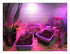 Mes plantations dans mon entr