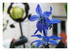 Mes fleurs !