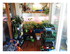 Mes plantations du WK !