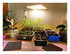 Mes plantations du WK !