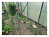 Dans mon jardin !
