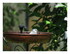 La fontaine !