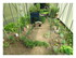 Dans le jardin !