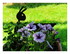 Les fleurs de mon jardin et or