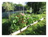 Dans mon jardin !