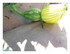 Dans mon jardin !