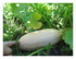 Dans mon jardin !
