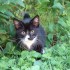 et notre petit chanapen!